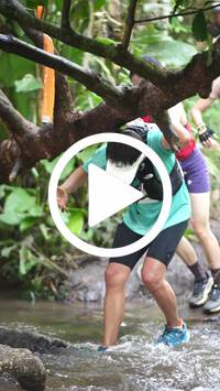 BIB:  <button type="button" onclick="openModal(27824954)" class="btn btn-primary btn-sm float-right" data-toggle="modal" data-target=".modal-high-quality">
                <i class="fa fa-download"></i> Download
                </button>